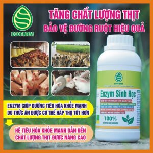 emzym-sinh-hoc-tang-chat-luong-thit